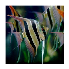 Angelfish 1 Tile Coasters by trendistuff