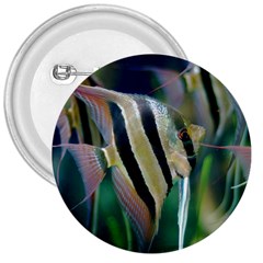 Angelfish 1 3  Buttons by trendistuff