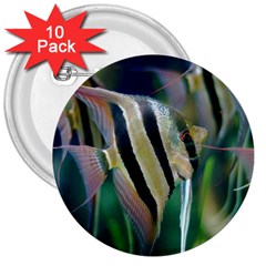 Angelfish 1 3  Buttons (10 Pack)  by trendistuff