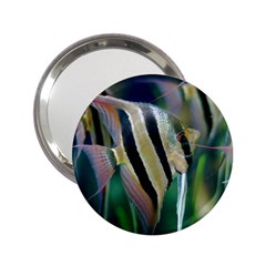 Angelfish 1 2 25  Handbag Mirrors by trendistuff