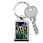 ANGELFISH 1 Key Chains (Rectangle)  Front