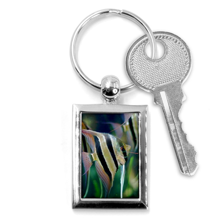 ANGELFISH 1 Key Chains (Rectangle) 