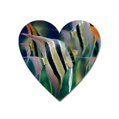 Angelfish 1 Heart Magnet by trendistuff