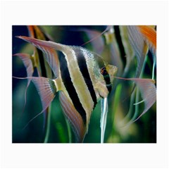 Angelfish 1 Small Glasses Cloth by trendistuff