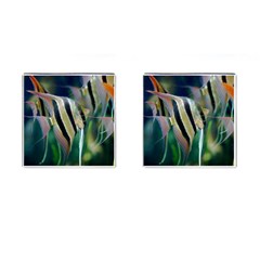 Angelfish 1 Cufflinks (square) by trendistuff