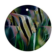 Angelfish 1 Round Ornament (two Sides) by trendistuff