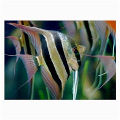 Angelfish 1 Large Glasses Cloth (2-side) by trendistuff