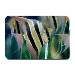 Angelfish 1 Plate Mats by trendistuff