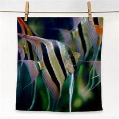 Angelfish 1 Face Towel by trendistuff