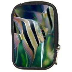 Angelfish 1 Compact Camera Cases by trendistuff