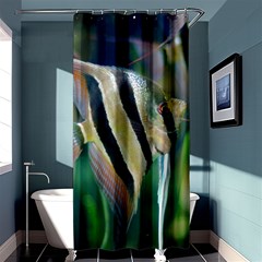 Angelfish 1 Shower Curtain 36  X 72  (stall)  by trendistuff