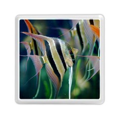 Angelfish 1 Memory Card Reader (square)  by trendistuff