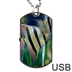 Angelfish 1 Dog Tag Usb Flash (two Sides) by trendistuff