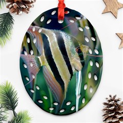 Angelfish 1 Ornament (oval Filigree) by trendistuff