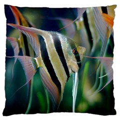 Angelfish 1 Standard Flano Cushion Case (two Sides) by trendistuff