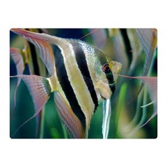 Angelfish 1 Double Sided Flano Blanket (mini)  by trendistuff