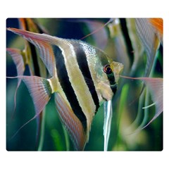 Angelfish 1 Double Sided Flano Blanket (small)  by trendistuff