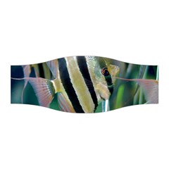 Angelfish 1 Stretchable Headband