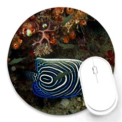 ANGELFISH 2 Round Mousepads