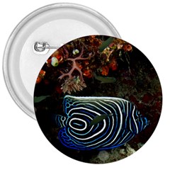 Angelfish 2 3  Buttons by trendistuff