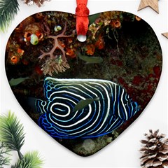 ANGELFISH 2 Ornament (Heart)