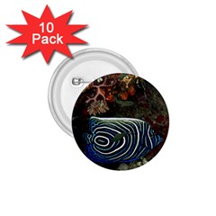 ANGELFISH 2 1.75  Buttons (10 pack)