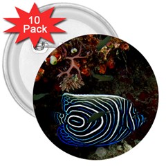 ANGELFISH 2 3  Buttons (10 pack) 