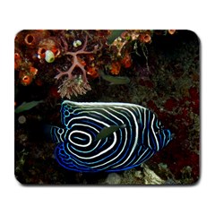 Angelfish 2 Large Mousepads by trendistuff