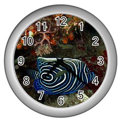 ANGELFISH 2 Wall Clocks (Silver) 