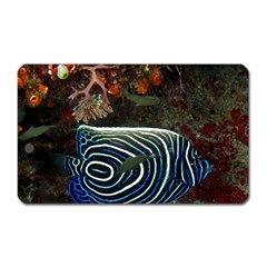 ANGELFISH 2 Magnet (Rectangular)