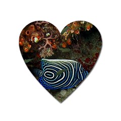 Angelfish 2 Heart Magnet by trendistuff