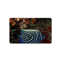 ANGELFISH 2 Magnet (Name Card)