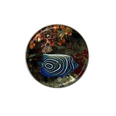 ANGELFISH 2 Hat Clip Ball Marker