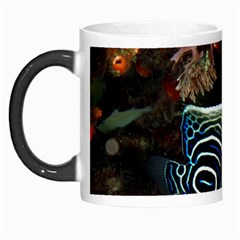 ANGELFISH 2 Morph Mugs