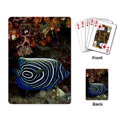 ANGELFISH 2 Playing Card