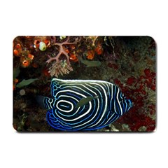 Angelfish 2 Small Doormat  by trendistuff