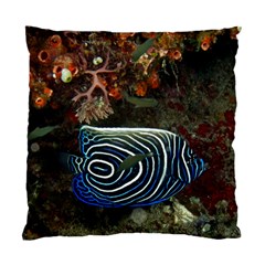 Angelfish 2 Standard Cushion Case (two Sides) by trendistuff