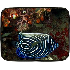 ANGELFISH 2 Double Sided Fleece Blanket (Mini) 