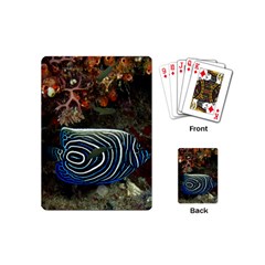 ANGELFISH 2 Playing Cards (Mini) 