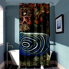 ANGELFISH 2 Shower Curtain 36  x 72  (Stall) 