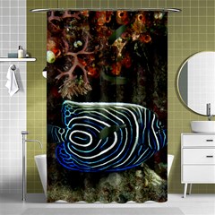 ANGELFISH 2 Shower Curtain 48  x 72  (Small) 