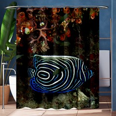 ANGELFISH 2 Shower Curtain 60  x 72  (Medium) 