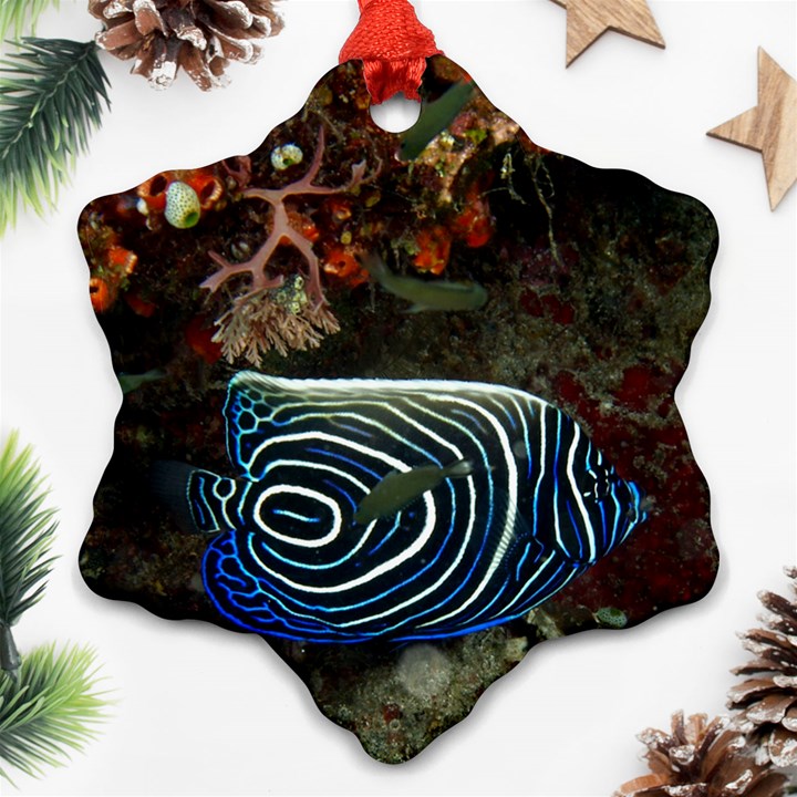 ANGELFISH 2 Ornament (Snowflake)