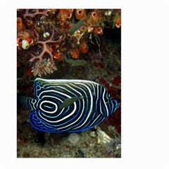 ANGELFISH 2 Large Garden Flag (Two Sides)