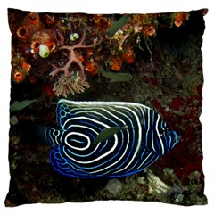 Angelfish 2 Large Cushion Case (two Sides) by trendistuff