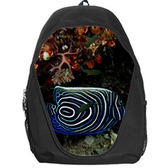 ANGELFISH 2 Backpack Bag