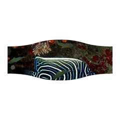 Angelfish 2 Stretchable Headband