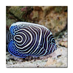 Angelfish 3 Tile Coasters by trendistuff