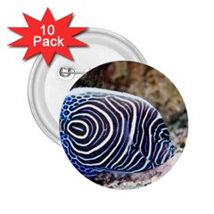 Angelfish 3 2 25  Buttons (10 Pack)  by trendistuff