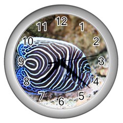 Angelfish 3 Wall Clocks (silver)  by trendistuff